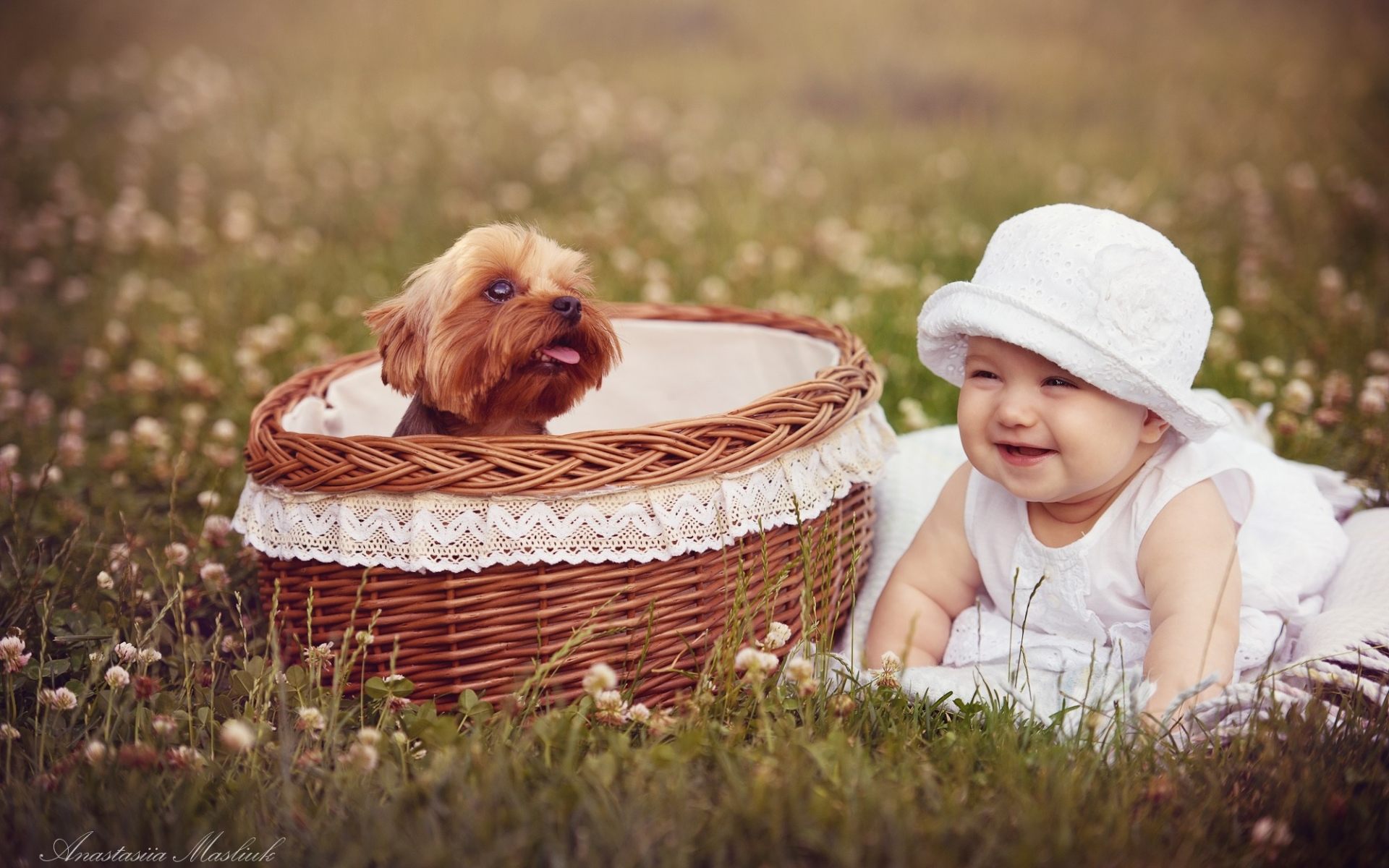 dog-and-baby-wallpaper – Yale Baby School